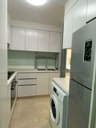 Eight Riversuites (D12), Condominium #554915261